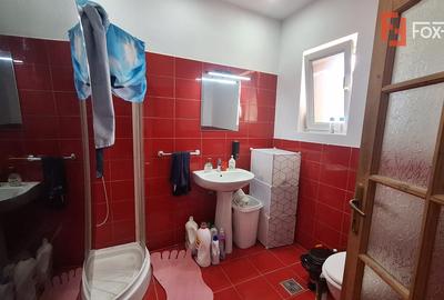 Casa individuala cu 6 camere de vanzare in zona Iosefin - 15