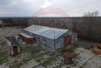 Spațiu industrial hale cu teren in zona Mihai Bravu Ploiesti - 7