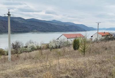 AV644 Teren intravilan, BERZASCA-DUNARE, 6042mp, posibilitate investitie turism - 7