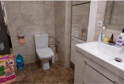 Apartament cochet cu 2 camere Tractoru - 16