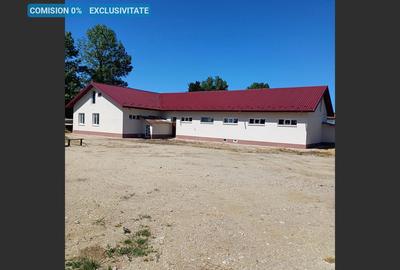 Spațiu comercial de inchiriat, la drum principal, localitatea Daia - 1