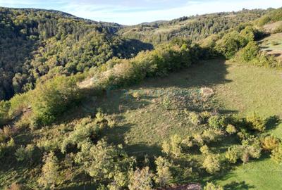 Teren intravilan de 1400 mp in Suncuius, de vanzare, Bihor - 7