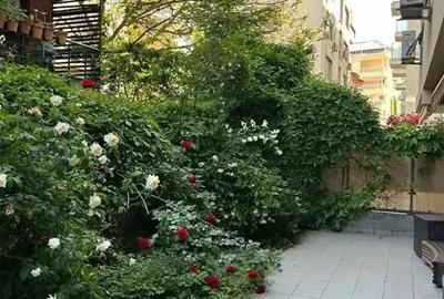 Apartament 2 camere | Herastrau | terasa 50mp - 9