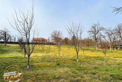 FILM! Oaza ta de liniste pe 0.5ha teren intravilan, Dalnic, Covasna - 10