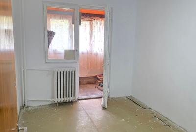 Lacul Tei  Teiul Doamnei  Colentina - 17