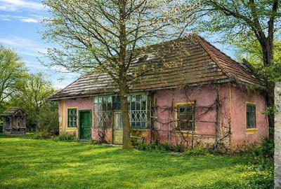 FILM! Oaza ta de liniste pe 4.900mp teren intravilan, Tufalau, Covasna - 5