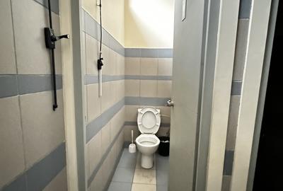 INCHIRIERE Spațiu comercial 173 mp. Vitrina Mare la Bulevard CETATE Alba Iulia - 12