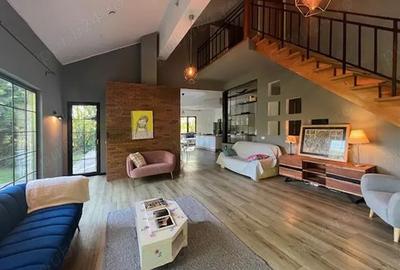 Vila unică de inchiriat ! Balteni | pe malul lacului Scrovistea - 1