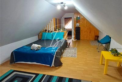 Casa de poveste in Fantanele, judetul Sibiu - 11