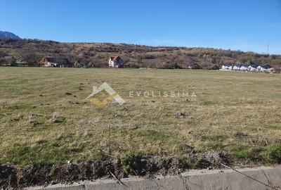 Teren intravilan 10.600 mp Strada Branului - 4