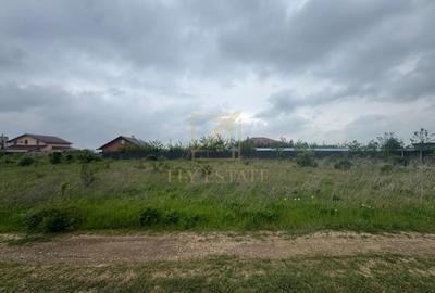 Teren Intravilan | Domnesti - 3