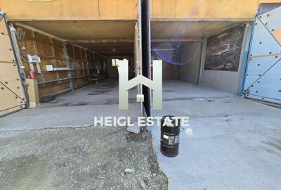 Spatiu Hala Fraidorf pretabil depozitare,vopsitorie, colantari,service - 8