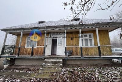 Casa si teren 3054 mp - Negresti - 1