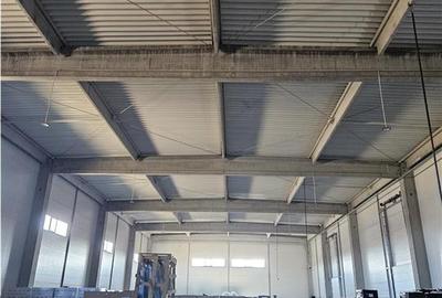 Spatiu Industrial - 2300 mp - Productie - Depozitare - 3