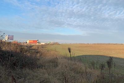 Teren Construcții extravilan de 71889 mp, în Pantelimon