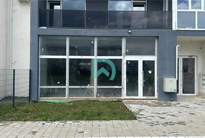 Spatiu Comercial - 116 mp, Selimbar, Brana, Sibiu - 5