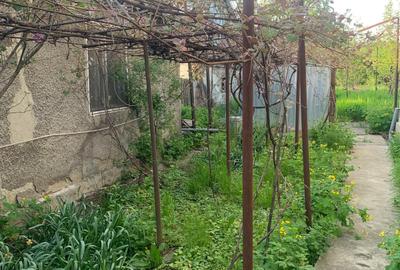 Voluntari   Popasului  Vanzare  Casa batraneasca teren 1400mp - 8