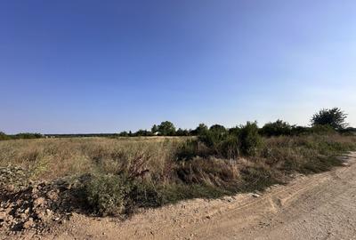 Teren Tancabesti intravilan iesire la lac Snagov - 8