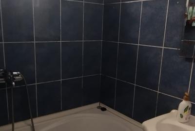 APARTAMENT 2 CAMERE, ETAJ 3, MOBILAT SI UTILAT, PODU ROS - 3
