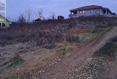 Teren intravilan Oradea - 6