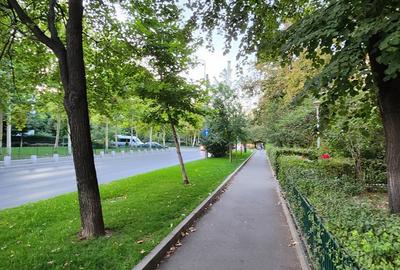 Drumul Taberei,VALEA OLTULUI-stradal,boxa cu acte,pretabil firma,1min metrou!