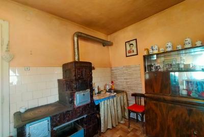 Casa de vanzare/schimb in Panticeu cu gradina mare - 21