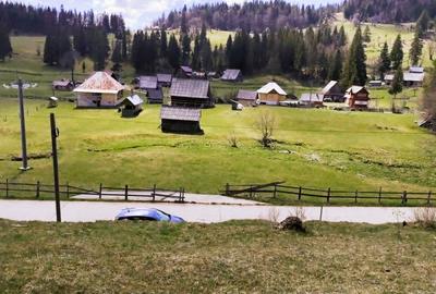 Oportunitate Apuseni: 7553mp cu parau, casa, anexe la 2km de Ghețarul Scarisoara - 2