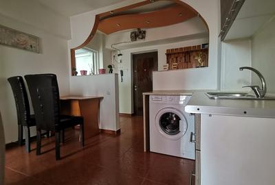 Apartament mobilat,utilat modern,centrala gaz,termen lung - 26
