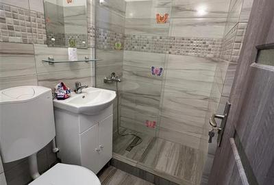 Inchiriere garsoniera renovata - Alexandru cel Bun - 3
