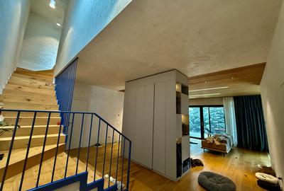 Martha Bibescu casa SMART, terasa 100mp priveliste W - 10