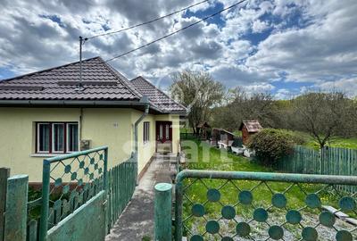 Casa in Filea de Jos , 3000 mp teren - 2