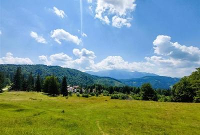 Teren Intravilan 80.000mp 3 Brazi,Predeal Comision 0 - 1