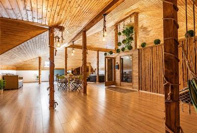 LUX Vila cu parc privat 1.250mp, spa, barbeque, privelisti pretioase, Rasnov - 14
