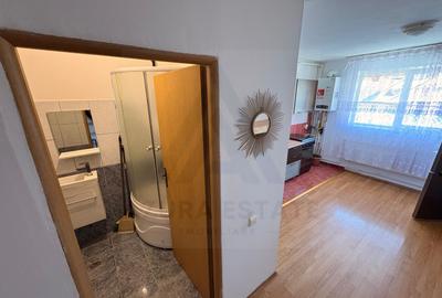 Garsonieră 36 mp compartimentată pe 2 niveluri in zona Terezian - 21