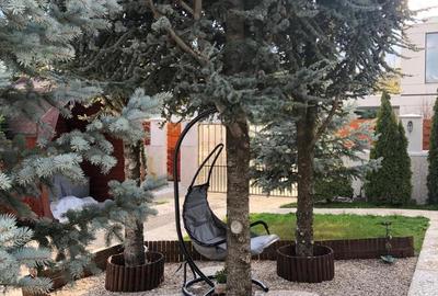 Rezidential sau Clinica/ Otopeni - 23 August - 1