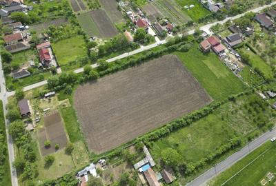 Teren Intravilan de 3,090 mp în Cuvin - 5