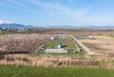 Teren intrare Sanpetru 668mp, str Tudor Arghezi-cu AC imprejmuire - 7