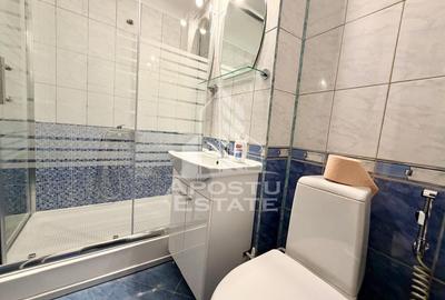 Apartament 3 camere de inchiriat, centrala, Olimpia-Stadion, Timisoara - 11