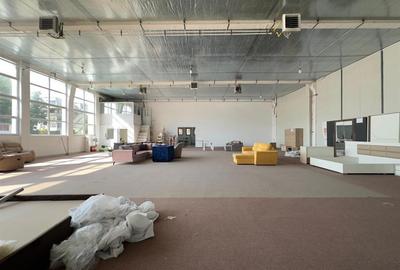 Showroom 457mp langa Carrefour, Kaufland, magazine tehnice - 7