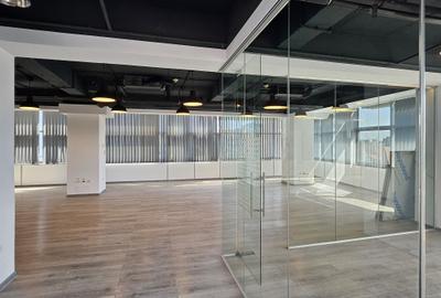 Spatiu Birou Cismigiu- Domus I - 7