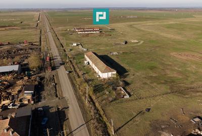 Hală industrială cu teren generos în Zărand, Arad - 60