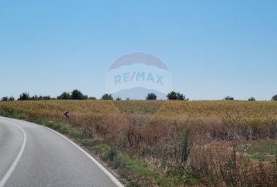 Teren 16.083 mp de vânzare – Sinești, sat Lilieci, Slobozia - 1