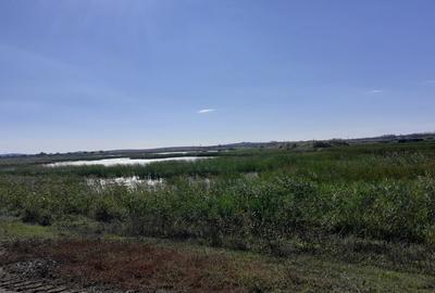 OCAZIE : INTRAVILAN com. MURIGHIOL - 19 euro/m.p. Deschidere Dunare  74 m. - 16