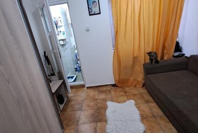 Garsonieră semidecomandată, mobilată în Baicului