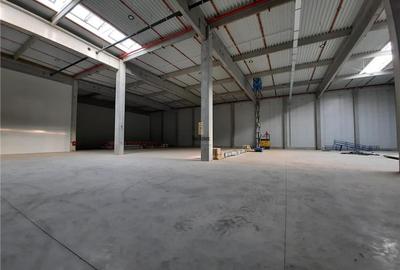 Spatiu Industrial - 5500 mp - Logistica - Productie - Depozitare - Distributie - 14