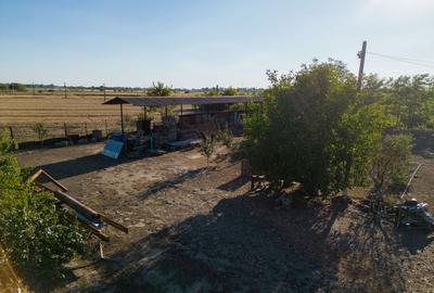Hală industrială cu multiple destinații în Nădlac - 48