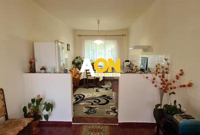 Casa 4 camere si 450 mp teren ultracentral - 8