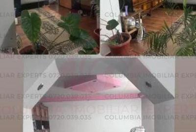 Berceni ,Luica, casa de vanzare , - 1