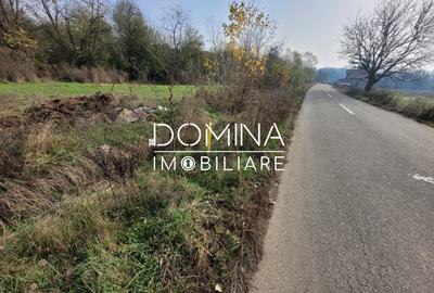 Vanzare teren intravilan - 1654 mp - strada Amurgului - Ursati - 6