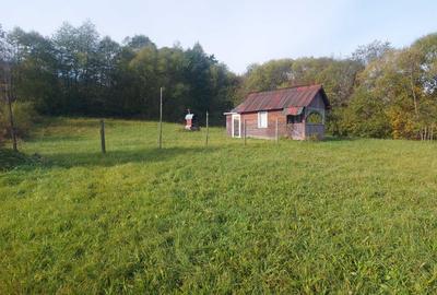 Spre vanzare teren 3662 mp in Campulung Moldovenesc - 8